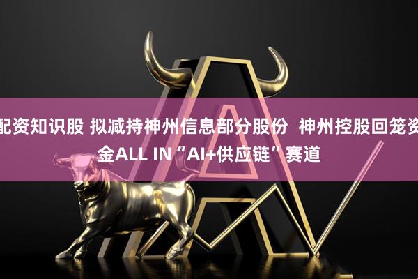 配资知识股 拟减持神州信息部分股份  神州控股回笼资金ALL IN“AI+供应链”赛道